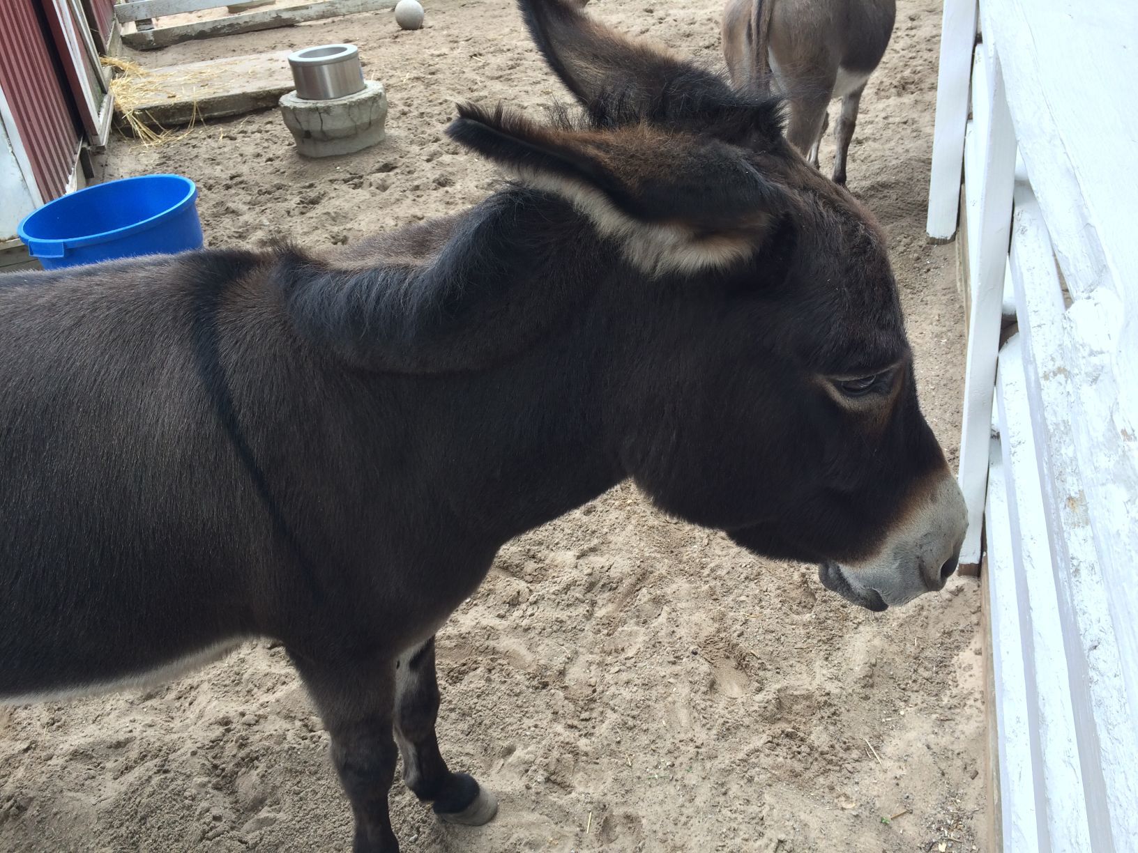 Washington Park Zoo